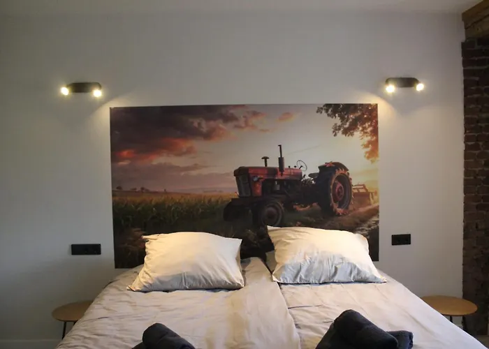 Апартаменты Boerderij Pepinushof - 't Hofje *