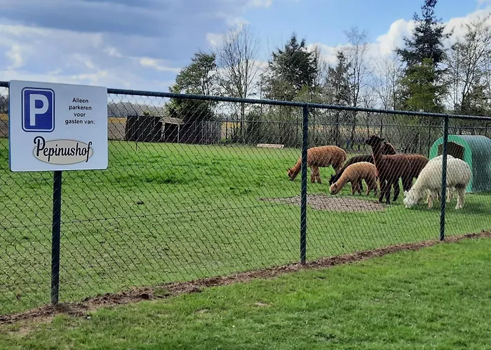 Boerderij Pepinushof - 't Hofje Апартаменты Maria-Hoop