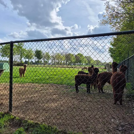 Boerderij Pepinushof - 't Hofje Apartament Maria-Hoop