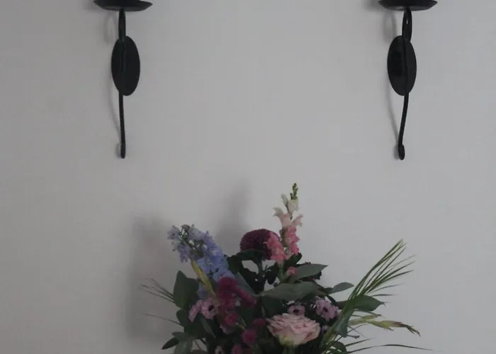 Boerderij Pepinushof - 't Hofje