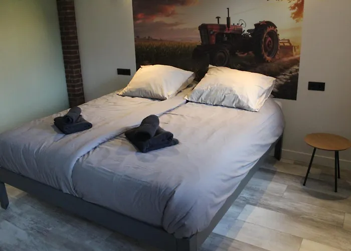 Boerderij Pepinushof - 't Hofje