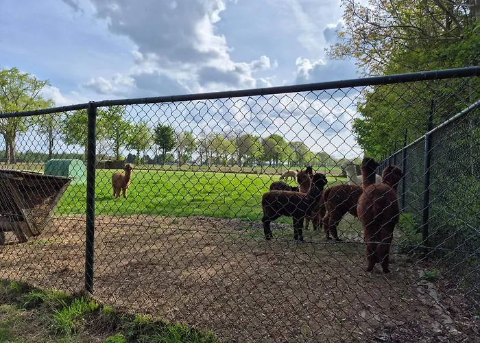 Boerderij Pepinushof - 't Hofje Διαμέρισμα Maria-Hoop